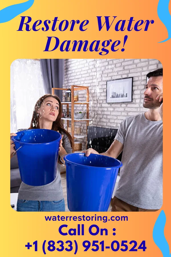 water restoration Quality Recovery Network Spring Hill