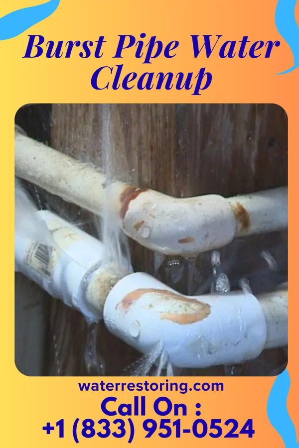 Burst Pipe Water Cleanup in Spring Hill, IN