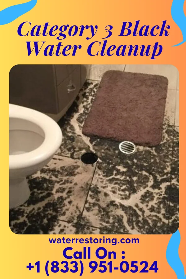 Category 3 Black Water Cleanup in Spring Hill, IN
