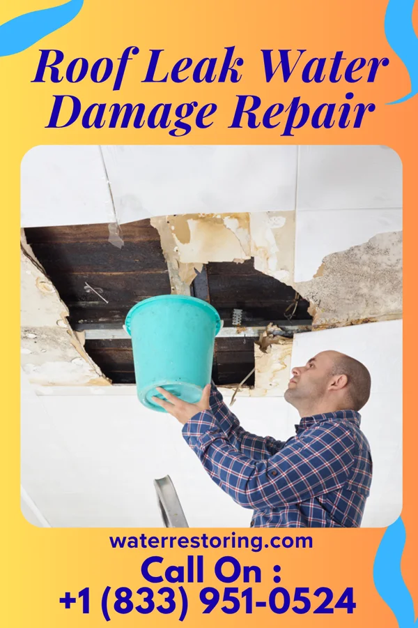 Roof Leak Water Damage Repair in Spring Hill, IN