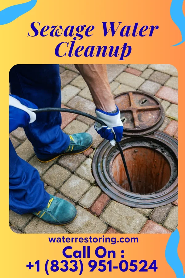 Sewage Water Cleanup in Spring Hill, IN